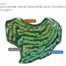 주식회사 블루원 이미지