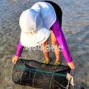 송남바다코앞에펜션 | 제주금능숙소 추천! 바다뷰 끝판왕 바닷가 코앞 제주마중펜션에서 힐링 제대로 누리기