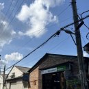 4. 인테리어 자재 마루편_동화마루 나투스진그란데 사하라라이트