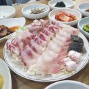 신안낙지천국 | 여름이면 한 번씩은 갑니다 —송파 가락동 노포 일등바우