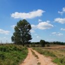 조각구름 이미지