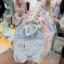 리틀마이펫 | 2026 대구 펫쇼 마지막 날 (펫쇼 구매 하울 후기)