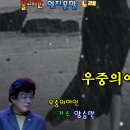 우중의여인/가수양승만-오기택노래,오산출신가수,경기도출신가수,흘러간노래,잊지못할노래,트로트,노래듣기,가요듣기 이미지