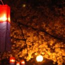 청사초롱 이미지