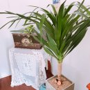 감성전주 이미지