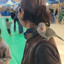 사선대농장 이미지