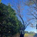 노을정 공중화장실 이미지