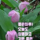 수련