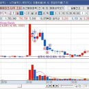 팜팜코퍼레이션