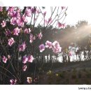 한창농장 이미지