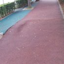 중앙공원 산책로 이미지