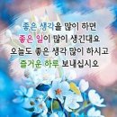 키즈웰치과의원 이미지