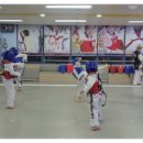 정무태권도장 | 행신동에서 아이가 즐겁게 배우는 태권도! 정무일도태권도 방문 후기 태권도장 추천