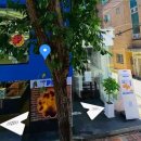 모닝픽 | [서울숲] 성수카페 서울숲 에그타르트 맛집 '픽베이크' 픽 모닝 세트 내돈내산 후기