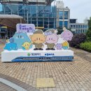 서대전역관광안내소 이미지