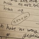 1월 함부르크 일상(1) 새해 첫눈/ 산책하고 졸작만 하는 나날/ 쪽팔릴 것 없다
