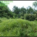 늘목리 진료소 이미지