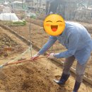 부목농장 이미지