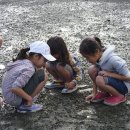 쌀집아저씨 이미지