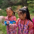 2026.4.30 고달.입면.오산병설유치원(만3~5세)풀꽃액자와 찰흙얼굴 만들기 이미지