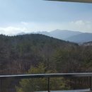 포유콘도 이미지