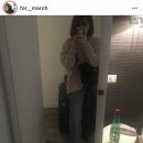 아베크진