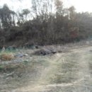 용강2리 경로당 이미지