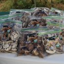 표장농장 이미지