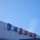 산단주유소 | [여수맛집] 황비물회 -신선한 물회와 탕, 생선구이까지 한번에 먹을수 있는 식당!