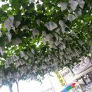 벧엘농원 이미지