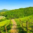 태백운수 이미지