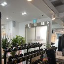 리얼디짐 이미지