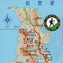 선도수선화 이미지