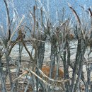 조응래이비인후과의원 이미지