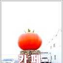 카페돌담