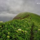 효담요양병원 | 울주군 믿을 수 있는 추천 요양원 효담의집요양원 신뢰할 수 있는 요양원