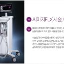 미소가인 이미지