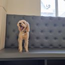 경기도 수원시 권선구 세권로207번길 16 이미지