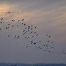 한동물병원(출장진료동물병원) 이미지