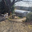 비전재가복지요양센터 이미지