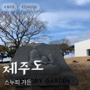 카페805 | 제주 스누피가든 입장료 할인 카페 후기