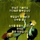달빛노래샵 이미지