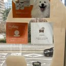 바다동물병원 | 부천동물병원 24시옥길아라동물의료센터 강아지 건강검진 결과