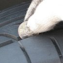 타이어은행 이미지