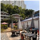 한라산도새기 이미지