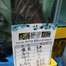 성복수산 - 천안시 동남구 신덕리1길 28 | 성복수산