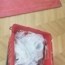 삼성포장 - 광산구 | 삼성포장