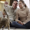 낭만고양이(운정점) 이미지