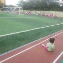 아미초병설 이미지