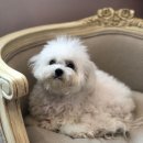 메르시동물병원 이미지